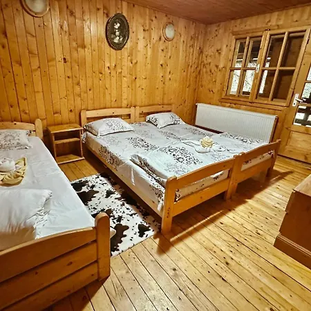 Villa Rustic House