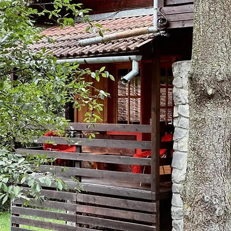 Rustic House Bran (Brasov)