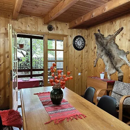 Rustic House Villa