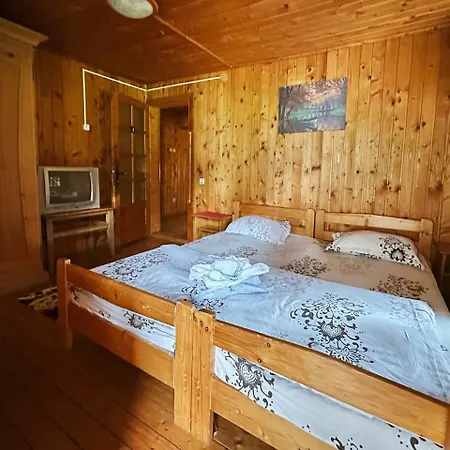 Villa Rustic House Bran (Brasov)