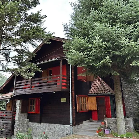Rustic House Villa Bran (Brasov)